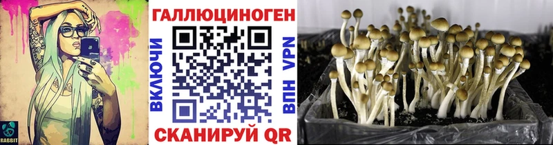 Галлюциногенные грибы GOLDEN TEACHER наркота Льгов